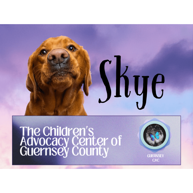 A golden retriever's head is in the foreground against a purple and pink sky, with the text "Skye" and a logo for "The Children's Advocacy Center of Guernsey County" in the background.