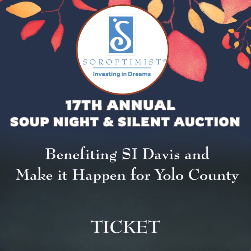 A dark background frames a circular Soroptimist logo at the top, with text announcing the 17th Annual Soup Night & Silent Auction below, and the word "TICKET" at the bottom.