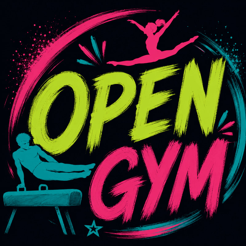 Silhouettes of gymnasts performing on a pommel horse and in mid-air are set against a vibrant, brushstroke-style background with the words "OPEN GYM" in bold, colorful lettering.