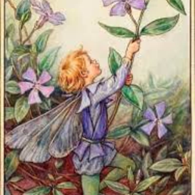 A young fairy with blonde hair and translucent wings reaches for a purple flower amidst lush green foliage and other delicate blooms.