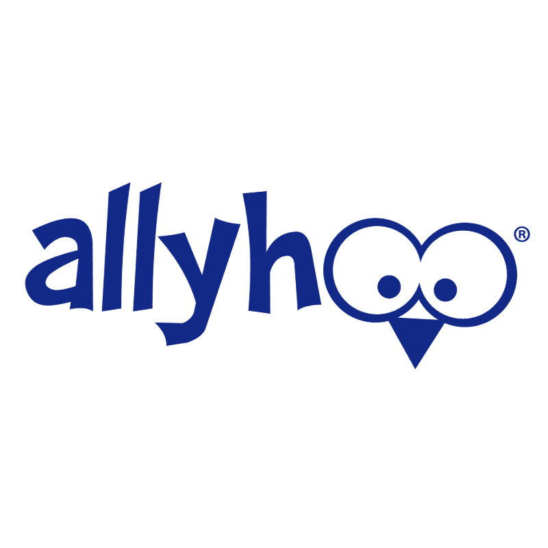 A blue owl logo with wide eyes and the word "allyhoo" in blue text is set against a white background.