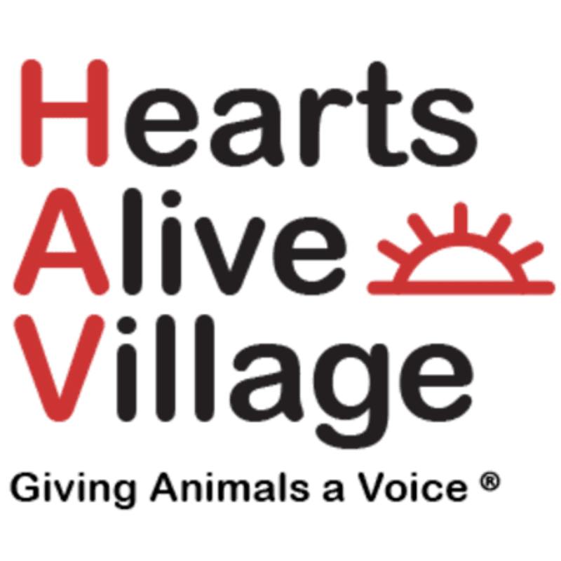 The foreground features the "Hearts Alive Village" logo with a rising sun graphic, while the background is a plain white space.