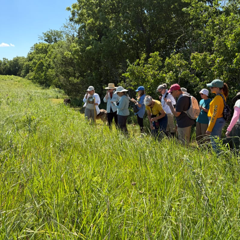A group of people in casual attire are gathered in a grassy field, with a dense line of trees forming the background under a clear blue sky.