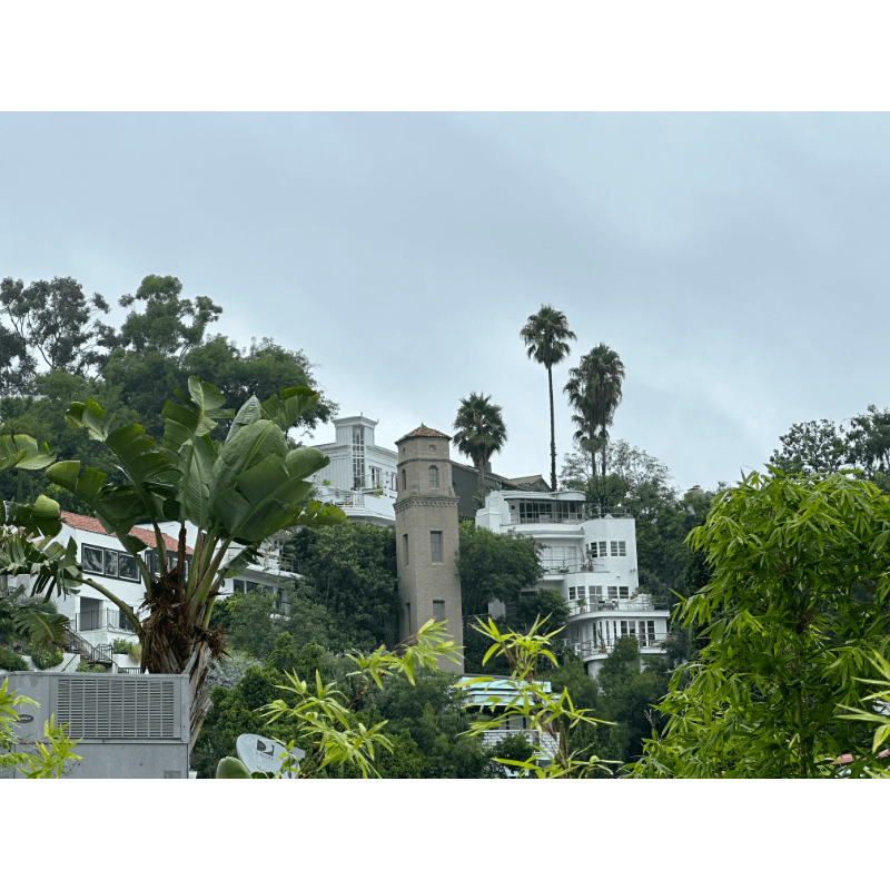 Lush green foliage in the foreground frames a cluster of white buildings and a tall tower nestled on a hillside under a cloudy sky.