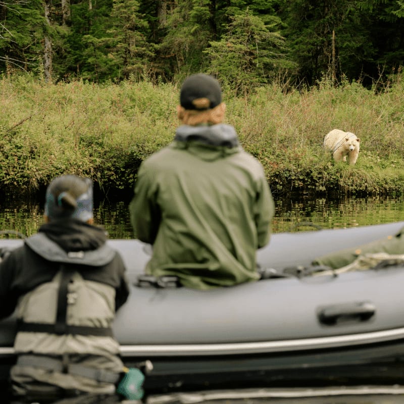 Two people in a raft observe a white bear on a grassy bank with a dense forest behind it.