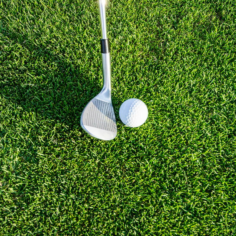 white golf club on green grass field