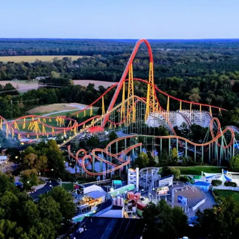 A towering red and yellow roller coaster dominates the foreground, surrounded by amusement park rides and lush green trees, with a clear blue sky and distant forest forming the background.