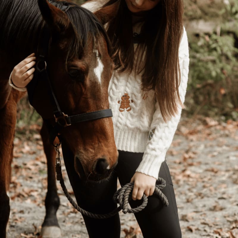 A person in a white sweater with a gingerbread man design stands with a brown horse, holding its reins, with a blurred background of trees and fallen leaves.