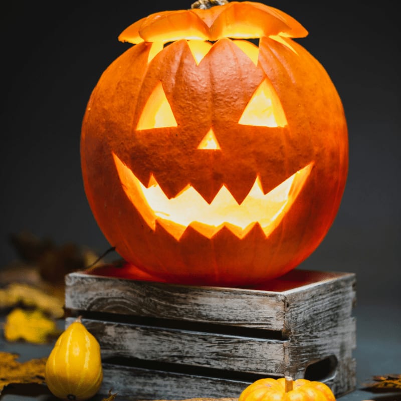 jack o lantern on brown wooden table