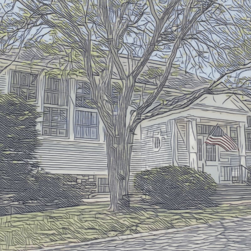 A bare tree stands in the foreground before a white house with an American flag on the porch, set against a pale sky.