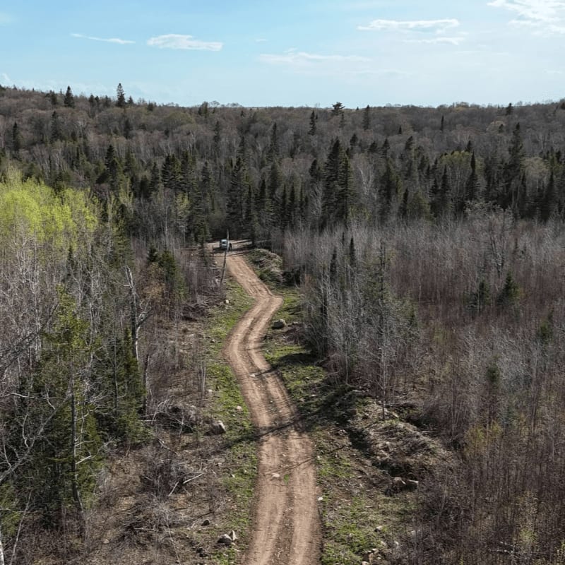 A winding dirt road leads through a forest of bare and budding trees towards a distant vehicle under a pale blue sky.