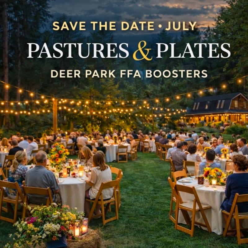 A festive outdoor dinner party is set up with tables and chairs on a grassy lawn, illuminated by strings of fairy lights against a backdrop of trees and a building.