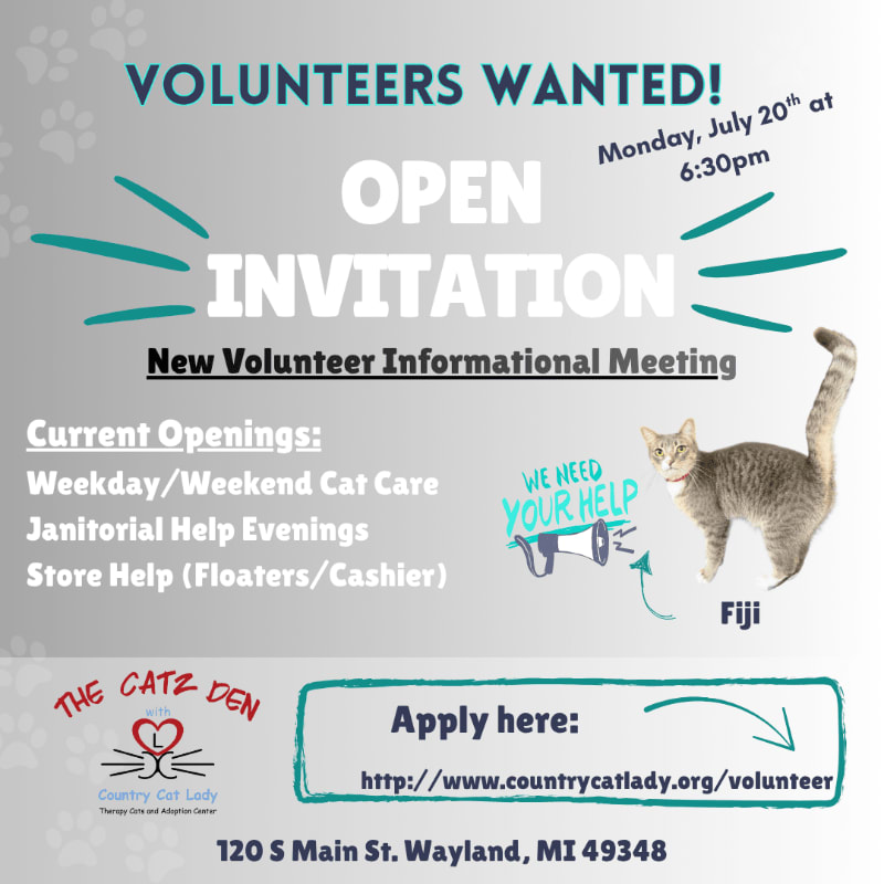 A flyer for a volunteer informational meeting at The Catz Den features a cat named Fiji in the foreground and event details in the background.