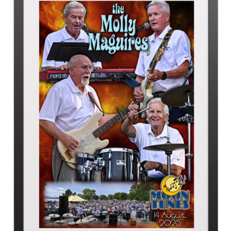 Four older men play instruments in the foreground against a fiery background, while a large outdoor concert crowd is visible in the lower background.