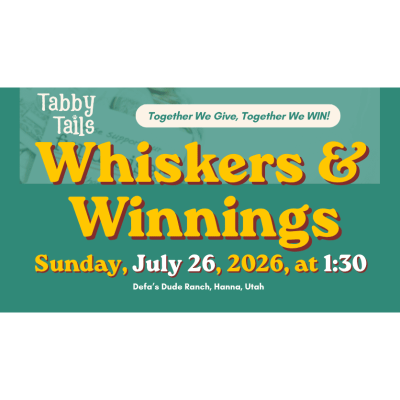 In the foreground, bold yellow text announces "Whiskers & Winnings" with event details below, while the background features a teal banner with "Tabby Tails" and a slogan.