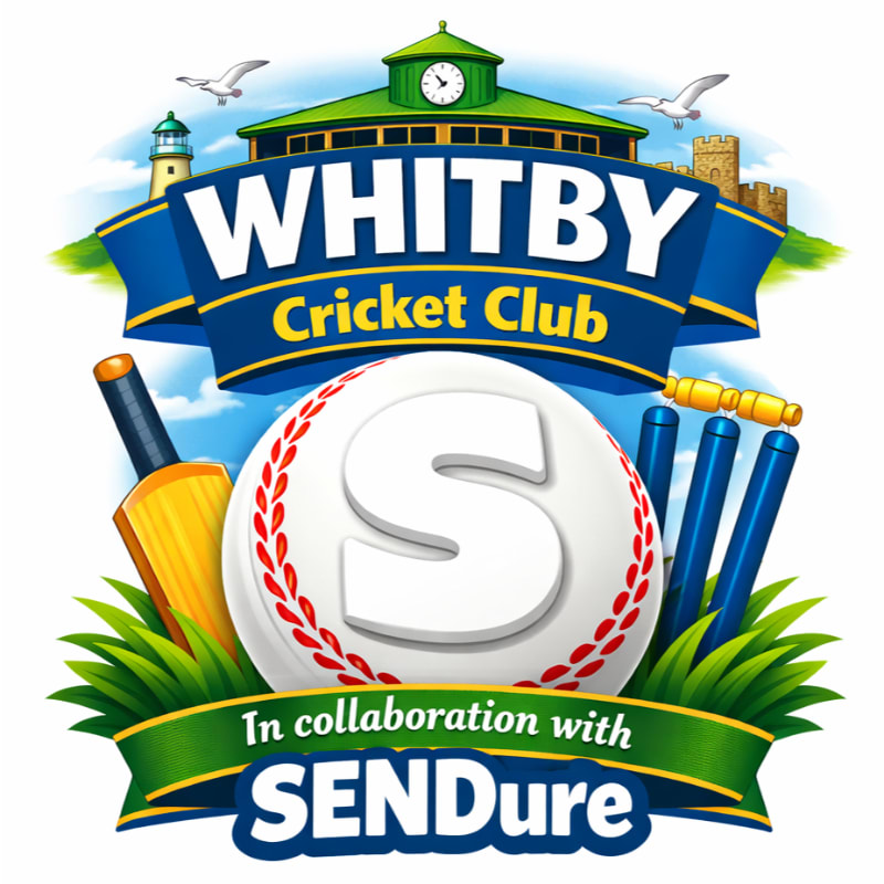 A large white baseball with a red stitched "S" sits in the foreground surrounded by cricket equipment and grass, with a stylized Whitby Cricket Club logo featuring buildings and seagulls in the background.
