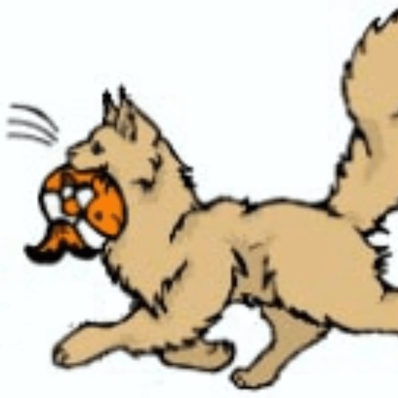 A fluffy tan dog runs with a stuffed toy in its mouth against a plain white background.