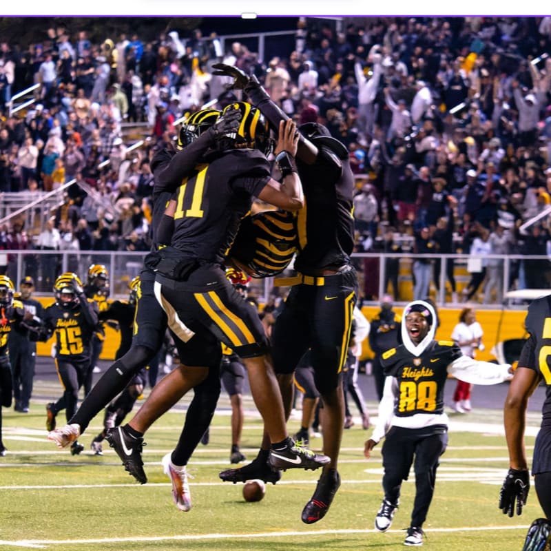 Football players in black and yellow uniforms celebrate a touchdown on a green field with a cheering crowd in the background.