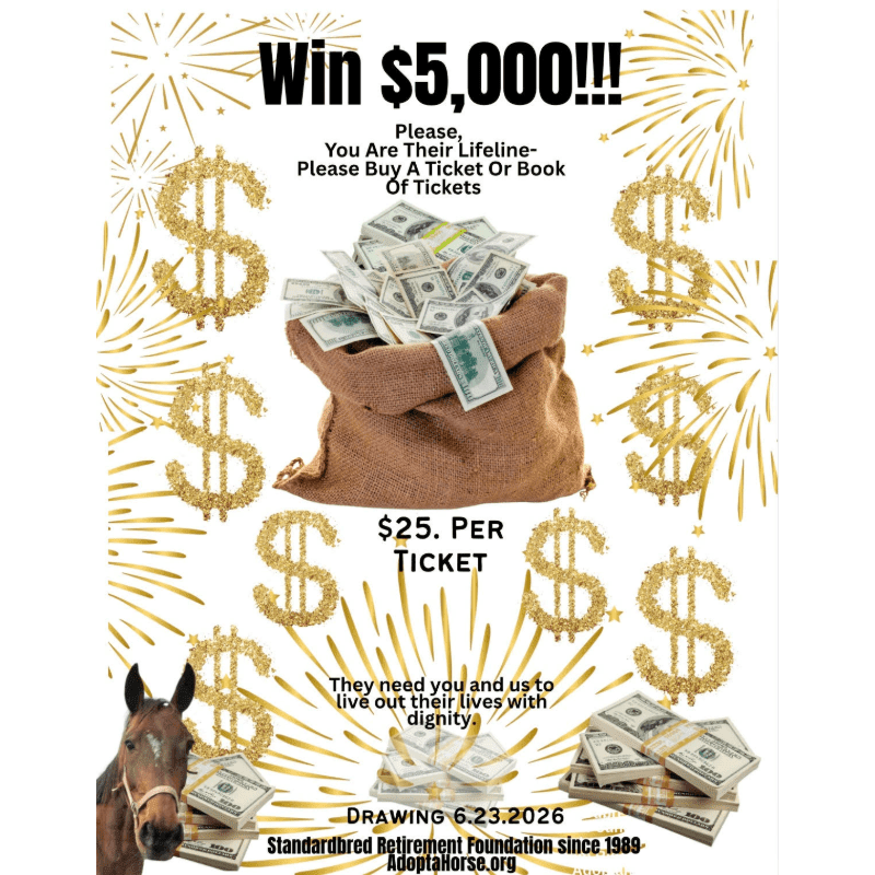 A burlap sack overflowing with cash sits in the foreground, surrounded by golden dollar signs and fireworks, with a horse's head visible on the lower left.