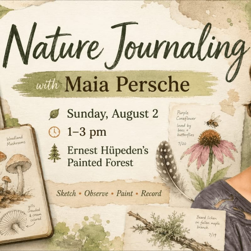 A nature journaling event flyer features a watercolor illustration of mushrooms and a feather in the foreground, with a purple coneflower and bee in the background.
