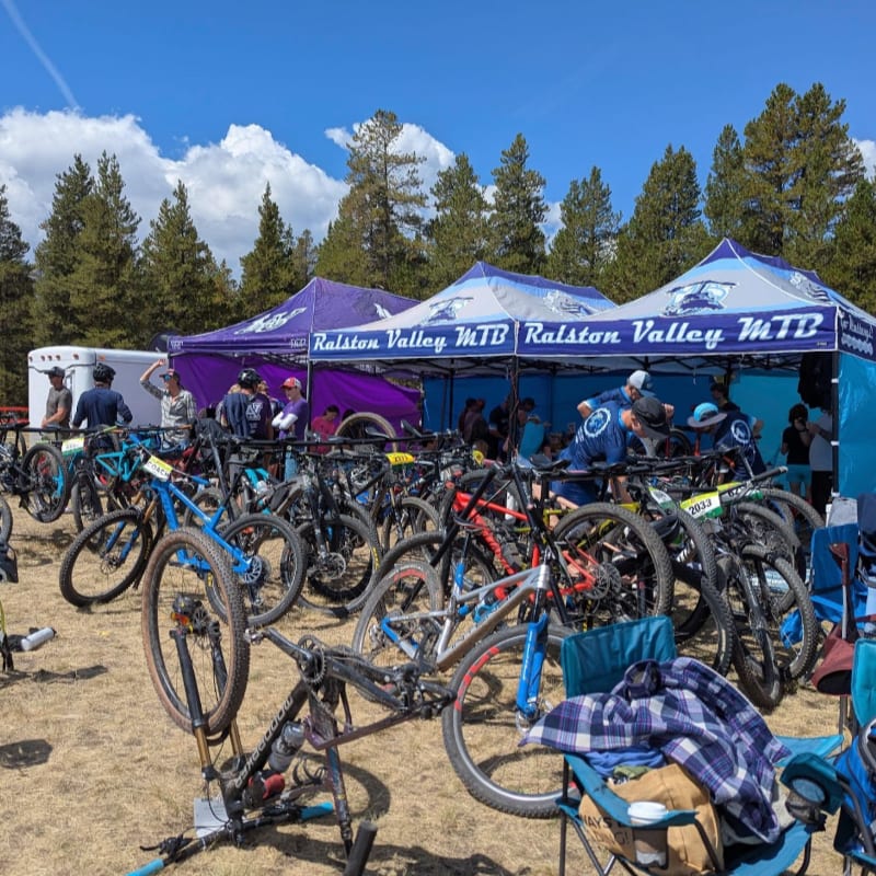 Mountain bikes are lined up in front of tents at an outdoor event, with a forest and blue sky in the background.