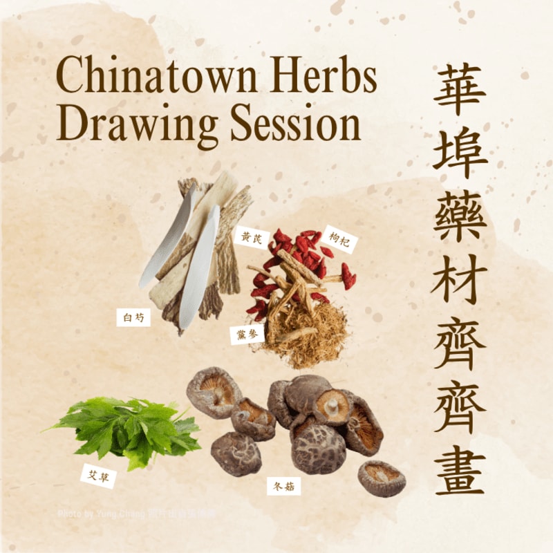 A collection of dried herbs and mushrooms are arranged in the foreground against a textured, light brown background with Chinese calligraphy on the right.