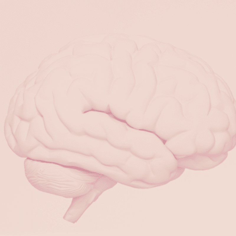 A pale pink, three-dimensional rendering of a human brain with detailed gyri and sulci is set against a soft, gradient pink background.