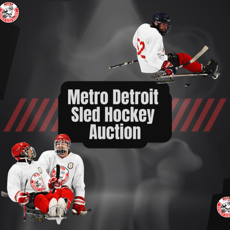 Two sled hockey players in the foreground are on a dark, textured background with a central banner announcing the "Metro Detroit Sled Hockey Auction" and a single player in the upper right corner.