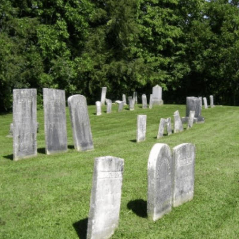 Weathered headstones stand in a grassy field with a dense forest in the background.