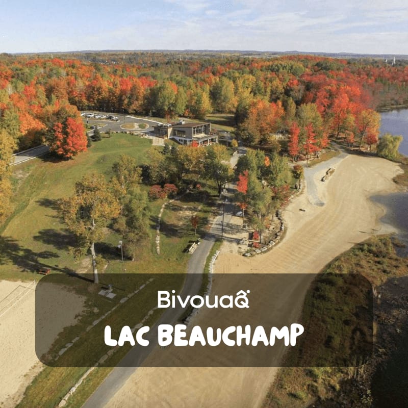 A sandy beach and a modern building are in the foreground, with a vibrant autumn forest and a lake in the background.