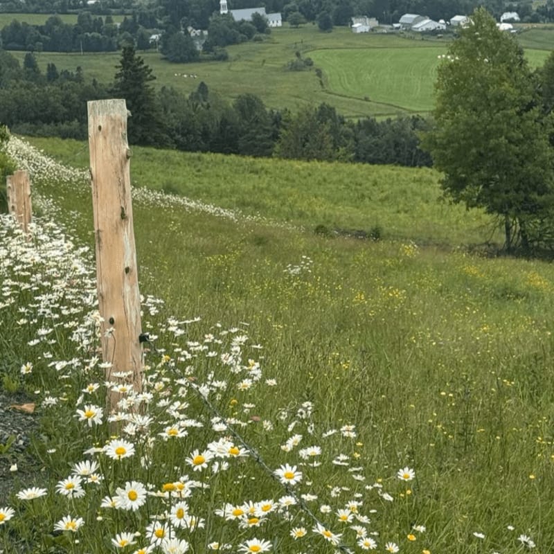 A weathered wooden fence post stands in a field of daisies, with a distant village nestled among rolling green hills.