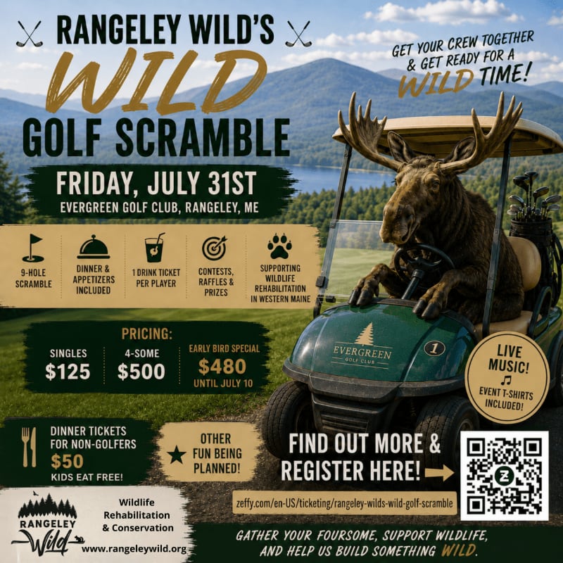 A humorous advertisement for a golf scramble features a moose driving a golf cart in the foreground, with a golf course and trees in the background.