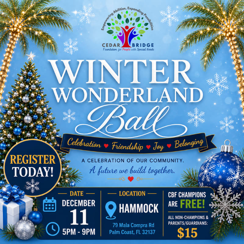 A festive Winter Wonderland Ball advertisement features a decorated Christmas tree and gift boxes in the foreground against a backdrop of palm trees and snowflakes.