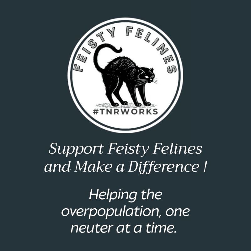 A black cat silhouette is featured in a circular logo with text above a dark background, promoting support for "Feisty Felines" and their mission to combat overpopulation.