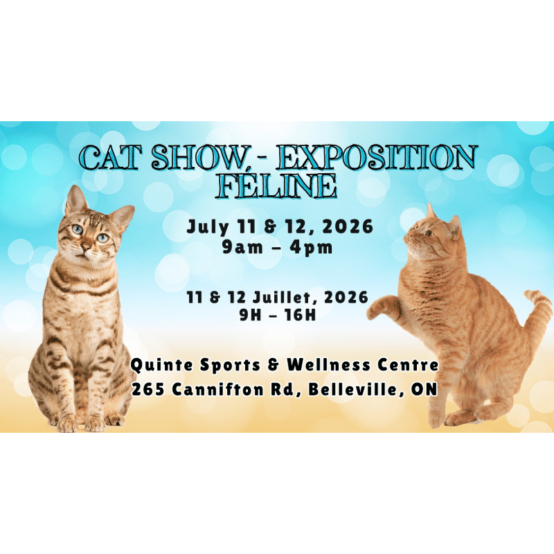 Two cats, one tabby and one orange, are featured in the foreground against a bright, bokeh-filled background advertising a cat show.