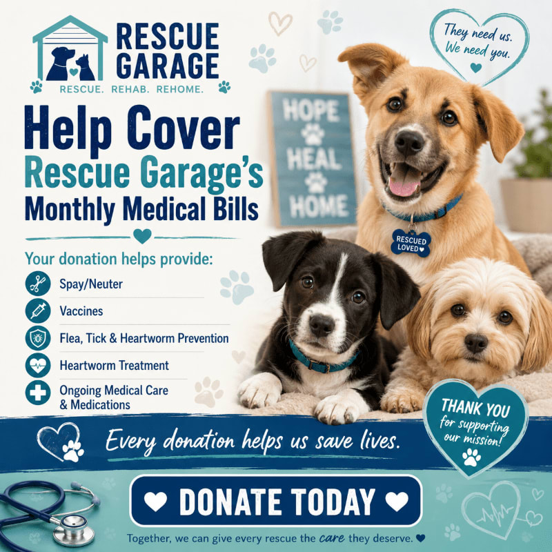 Three adorable rescue dogs are featured in the foreground, with a donation appeal for Rescue Garage's medical bills in the background.