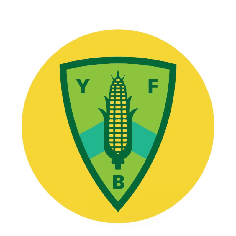 A green shield with a corn cob and the letters Y, F, and B is centered on a bright yellow circular background.