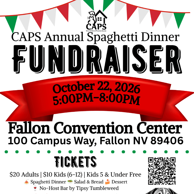A red banner with event details is superimposed over a background of festive pennants and polka dots, advertising a CAPS Annual Spaghetti Dinner Fundraiser.