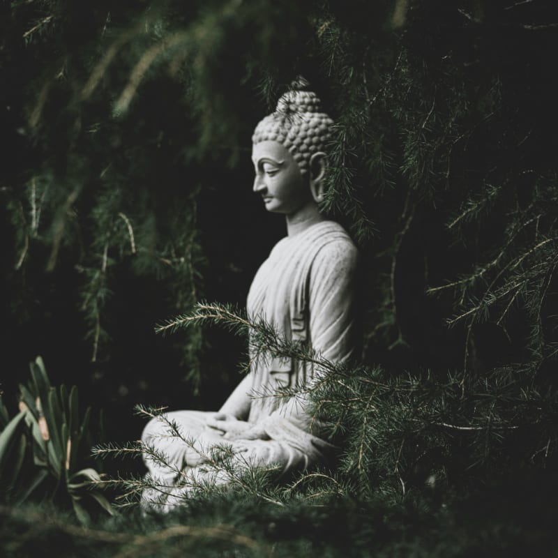 a buddha statue sitting in the middle of a forest