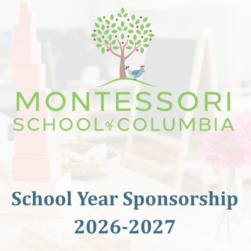 A pink block tower and a pink flower are in the foreground, with the "Montessori School of Columbia" logo and sponsorship details in the background.