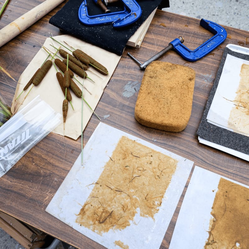 Cattails and handmade paper lie on a wooden table with clamps and tools in the background.