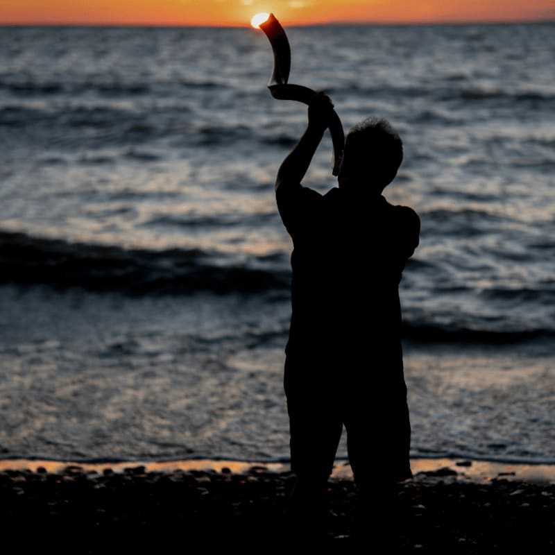 a person standing on a beach holding a kite