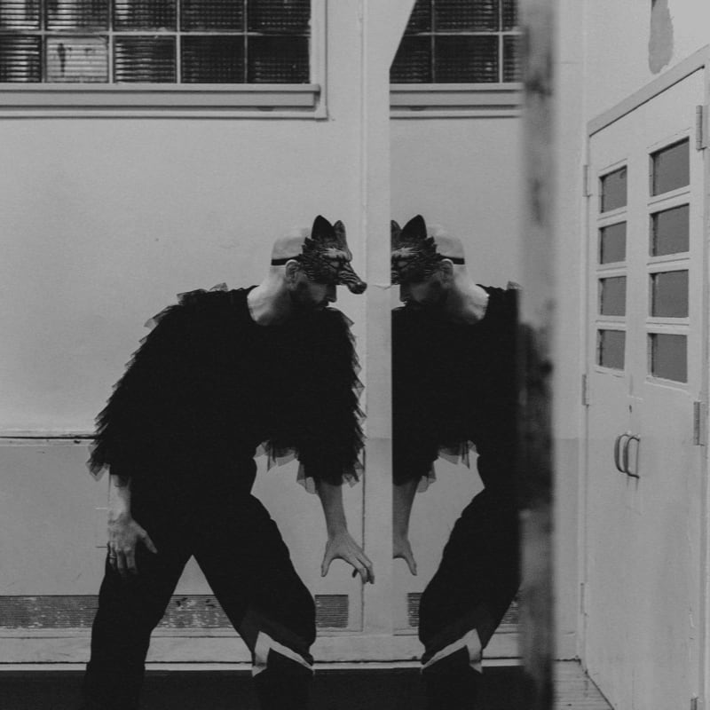 A person in a wolf mask and feathery costume stands in a hallway, reflected in a mirror.