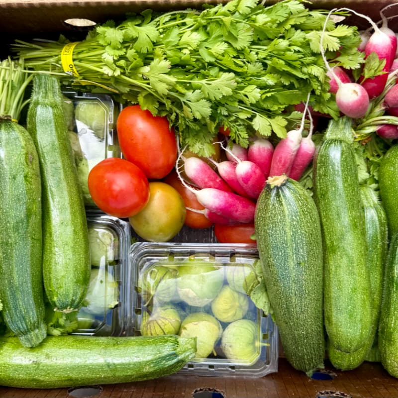 Fresh zucchini, tomatoes, radishes, cilantro, and figs are packed in a cardboard box.