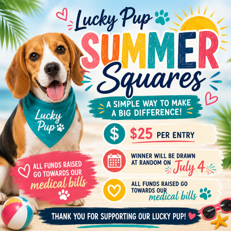 A happy beagle wearing a bandana sits on a beach with a beach ball and sunglasses in the foreground, while the background features palm trees, a sunny sky, and text promoting a "Lucky Pup Summer Squares" fundraiser.