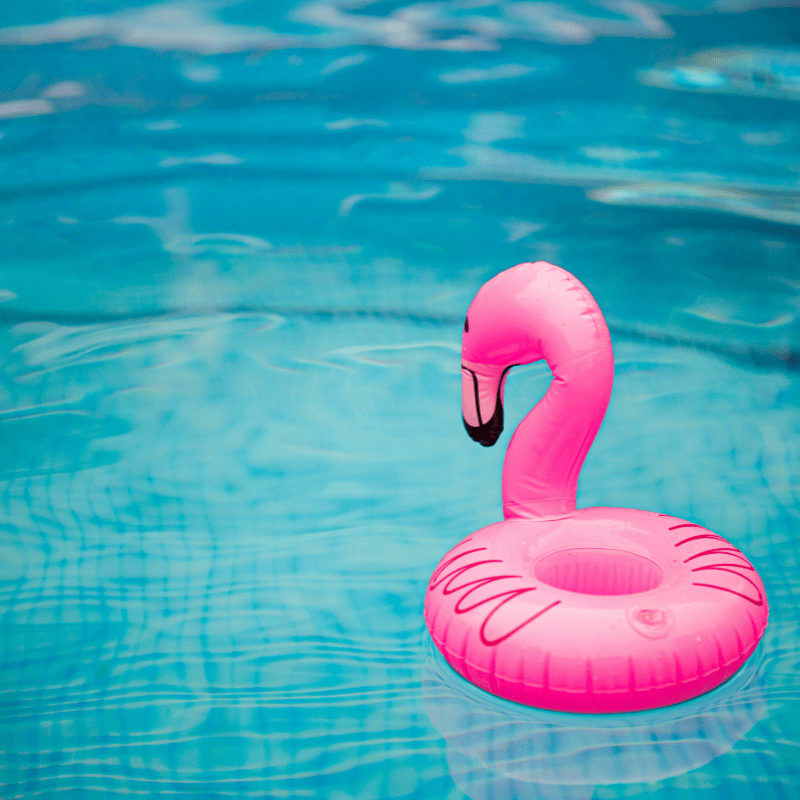 pink inflatable flamingo on water