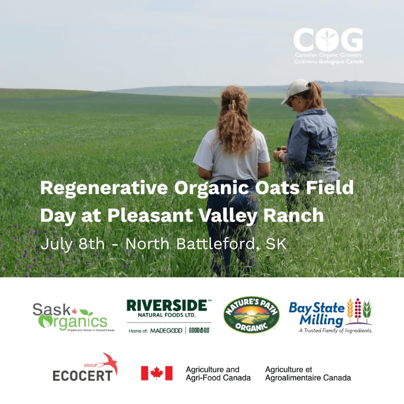 Two women stand in a lush green field of oats with a hazy sky and distant trees in the background, promoting a Regenerative Organic Oats Field Day.