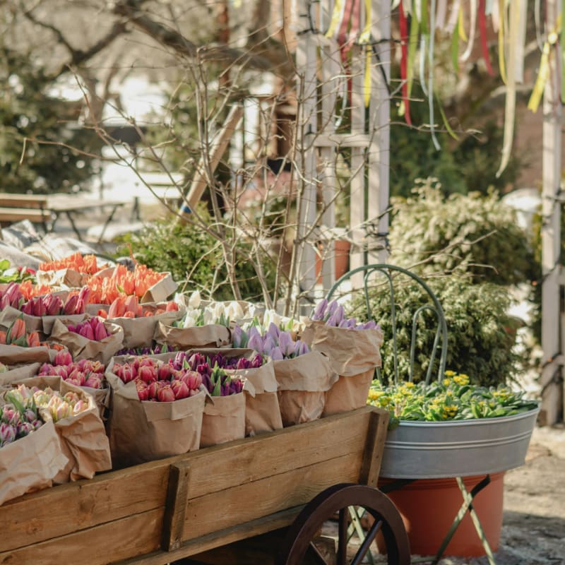 Wooden cart filled with colorful tulips in paper bags