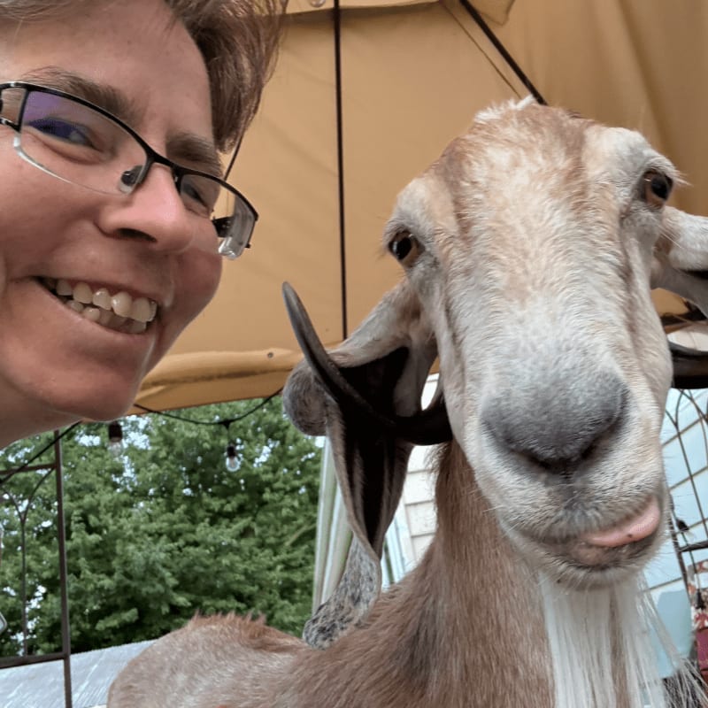 A smiling woman with glasses takes a selfie with a goat sticking its tongue out, with trees and a fence visible in the background.