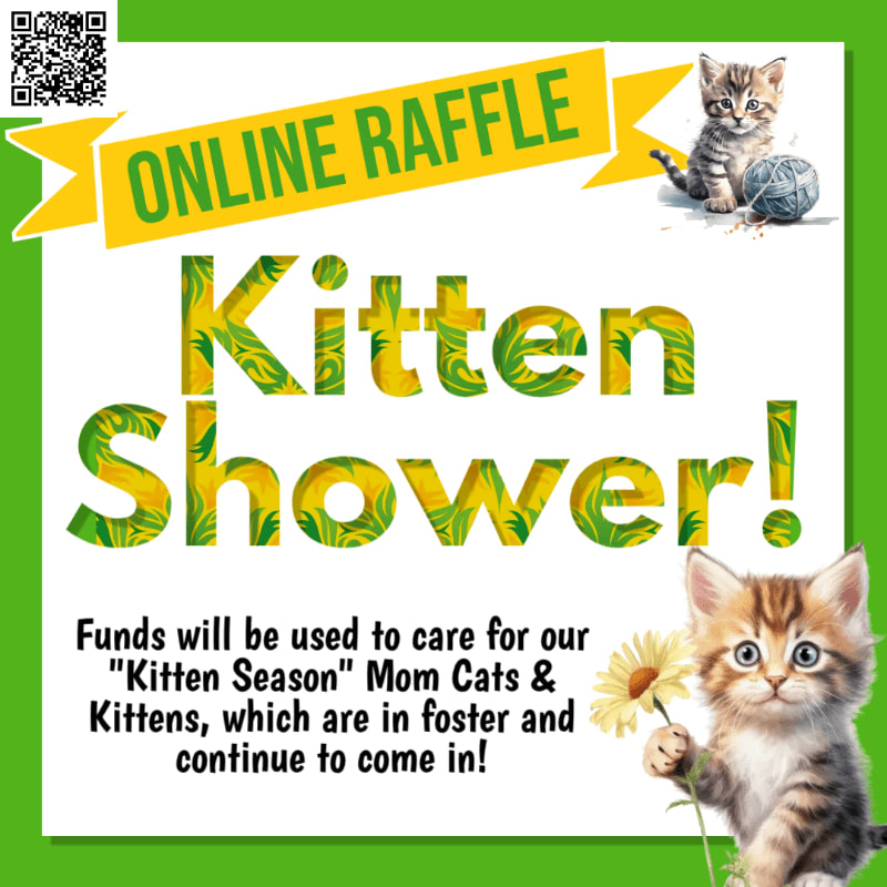 A bright green border frames a white poster announcing an "Online Raffle Kitten Shower!" in large, leafy yellow letters, with two adorable kittens in the foreground and background.
